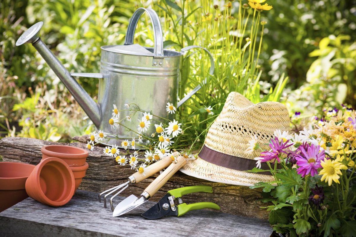 Accessoires de jardin