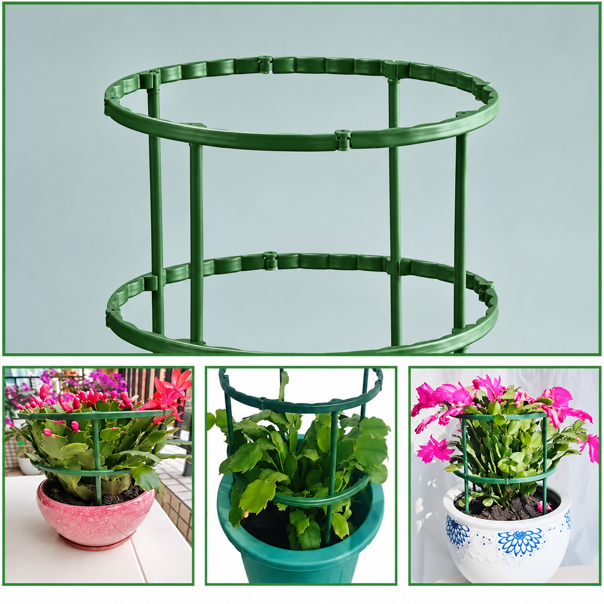 SIMOLIA® Cage de Soutien Modulaire pour Plantes