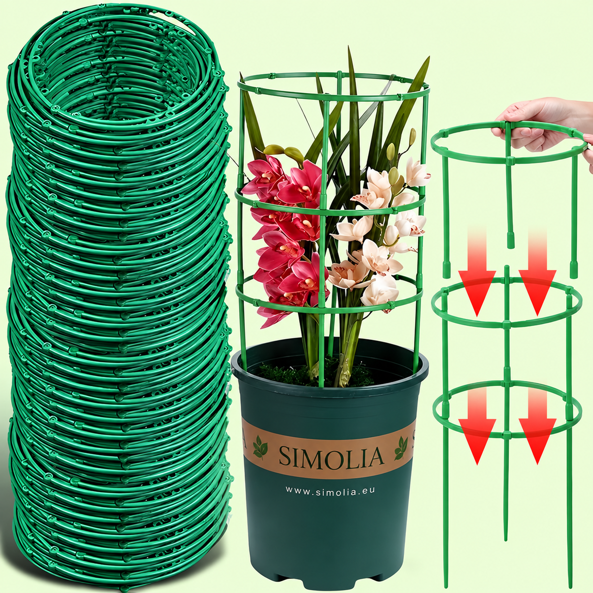 SIMOLIA® Cage de Soutien Modulaire pour Plantes