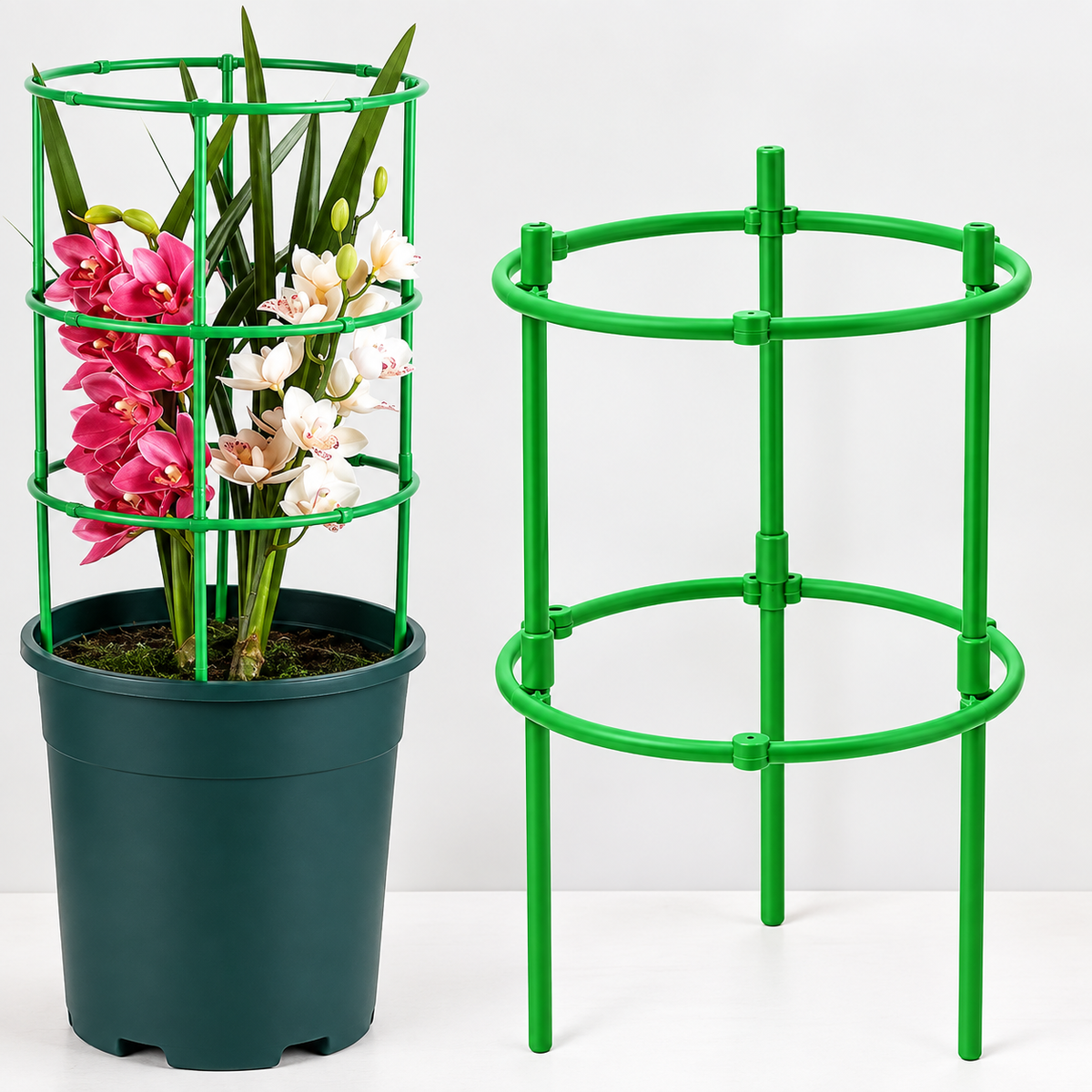 SIMOLIA® Cage de Soutien Modulaire pour Plantes
