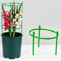 SIMOLIA® Cage de Soutien Modulaire pour Plantes