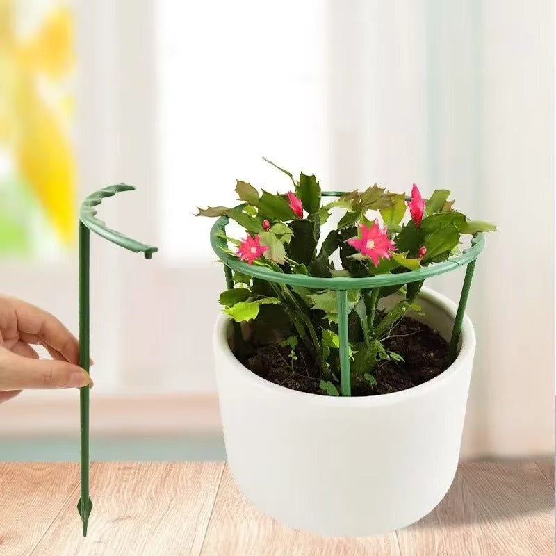 SIMOLIA® Cage de Soutien Modulaire pour Plantes